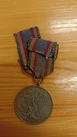 Adolf hitler, oak medal