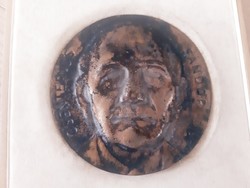 Sándor Csenterics award bronze plaque