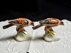 Aquincumi porcelán sólyom madár darabra