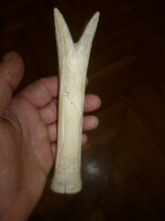 Egyptian ancient patterned bone carving