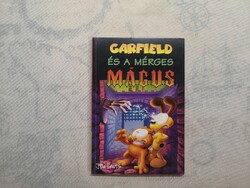 Michael Teitelbaum - Garfield and the Angry Wizard