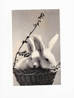 H:00 Húsvéti Üdvözlő képeslap postatiszta