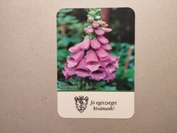 Hungary, card calendar vii.- Pharmacy 2021