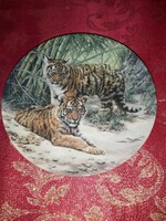 English wall porcelain decorative plate with tiger cubs - in display case