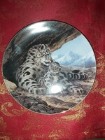 English wall porcelain decorative plate with snow leopards - in display case