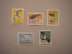 Netherlands fauna, birds 1961