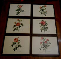 Pimpernel exclusive English 6-piece placemat vintage rose