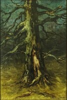 1Q652 Károly Szegvár: old tree