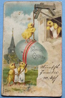 Antique Easter greeting card chicks from 1901