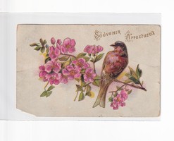 H:107 antique bird greeting card embossed