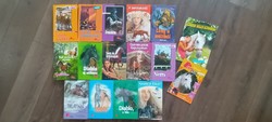 Children's pony cub book package