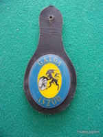 A badge that can be placed on a button with the coat of arms of Aszód