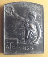 Arad gymnastics club 1913. 41X33mm. Medal, plaque. (There is a post office) !
