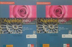 Aspekte b2 German language book -workbook-3cd