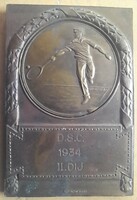 Debrecen sports club. Dsc tennis 1934. 60X41mm. Medal, plaque. (There is a post office) !