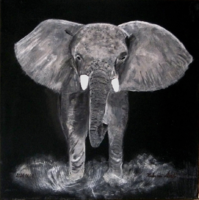 Elephant (self-made)