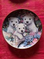 English wall porcelain decorative plate with cute Westie puppies - in display case