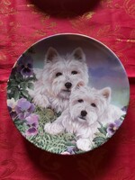 English wall porcelain decorative plate with cute Westie dogs - in display case