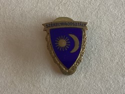 Horthy Székely division button hole badge.