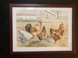 Poultry yard, farm detail - watercolor painting - 43*33 cm with frame