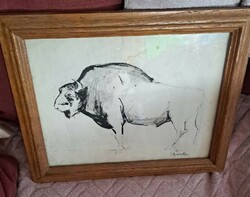Ádám Würtz (1927 - 1994) bison (ink drawing) size: 37x30 cm. With glazed frame.