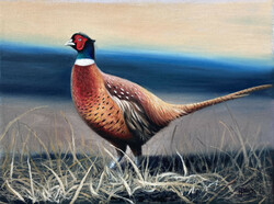 Pheasant rooster - oil painting