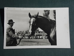 Postcard, Budapest agricultural exhibition, horse, 1950-60
