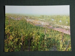 Képeslap,Postcard, Tokaj, látkép részlet, szőlőhegy, 1970-80