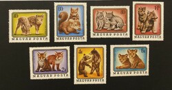 1976. Wild puppies ** postal clean line