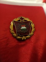 Retro 1950s socialist brigade Hungarian socialist brigade member badge