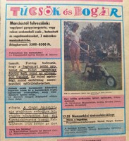 1984 március 1  /  Ludas Matyi  /  Ssz.:  7317