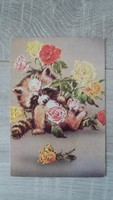 Raccoon (?) Retro postcard