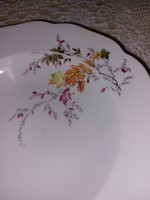 Colditz 1 deep plate with colorful leaves, 1 cake plate