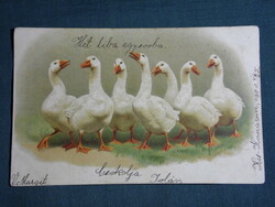 Postcard, postcard, artist, graphic, cartoon, vögel, geese, geese, seven geese, litho, 1900