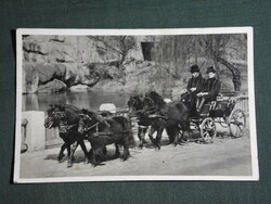 Postcard, Budapest zoo, four pony teeth, 1930-40
