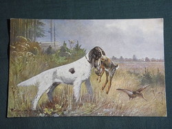 Postcard, artist, jagdhund, hunting dog, hunting dog, rabbit, hunting, hunter, 1910