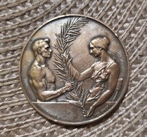 Damkó-exner: Hungarian national gymnastics association medal 45 mm bronze