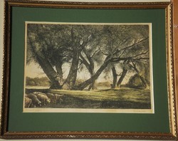 Zoltán Kaveczky (1897–1965): willow trees on the banks of the Tisza