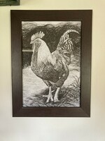 Rooster - ink drawing - 36*27 cm with frame