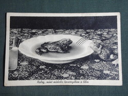 Képeslap,Postcard, Miskolc,Pislog mint miskolci kocsonyában a béka , 1941