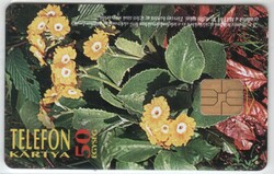 Magyar telefonkártya 0451  1996 Cifra kankalin     ODS   500.000 darab