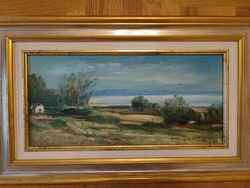 Otto's painting of the Vágfalvi coastline