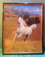 5 darabos   "lovas" kép-kollekció /üvegezett keretekben / 5x(26x21 cm / 5x0.3 kg