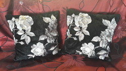 Pair of embroidered pillows (m2494)