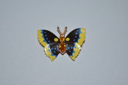 Butterfly brooch