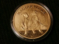 Hungarian Vizsla 2019 unc