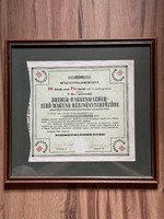 Dreher-haggenmacher share certificate