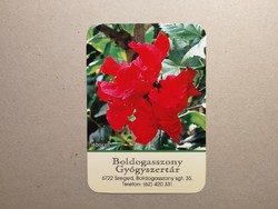 Hungary, card calendar ii.- Boldogasszony pharmacy 2024