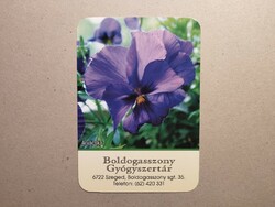Hungary, card calendar i. - Boldogasszony pharmacy 2024