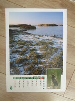 Poster calendar sheet 4.: Kelemen-szék, cormorant; August (photo poster; salty, checkerboard)